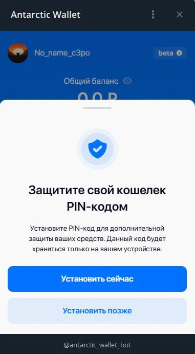 Antarctic Wallet — Preview 1
