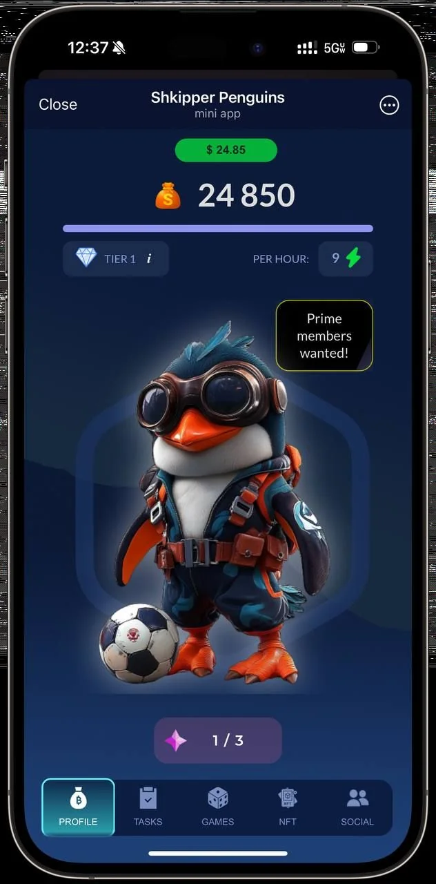 Shkipper Penguins — Preview 1