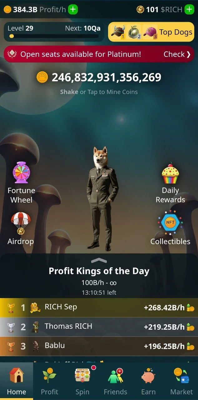 Rich Dog: Top Play-to-Earn Game 💰🐶 — Preview 1