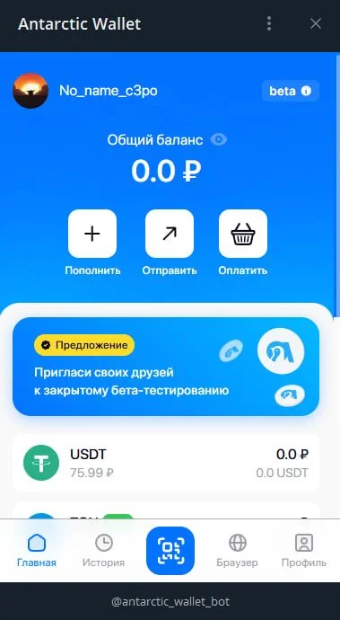 Antarctic Wallet — Preview 2