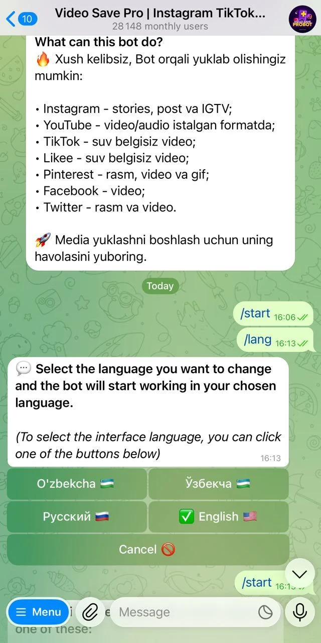 Video Save Pro | Instagram TikTok Downloader โ Preview 1