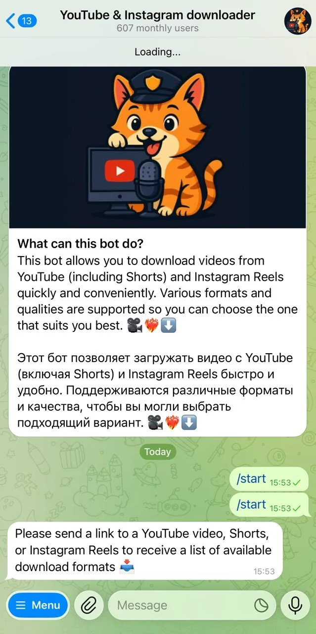 YouTube & Instagram downloader — Превью 3