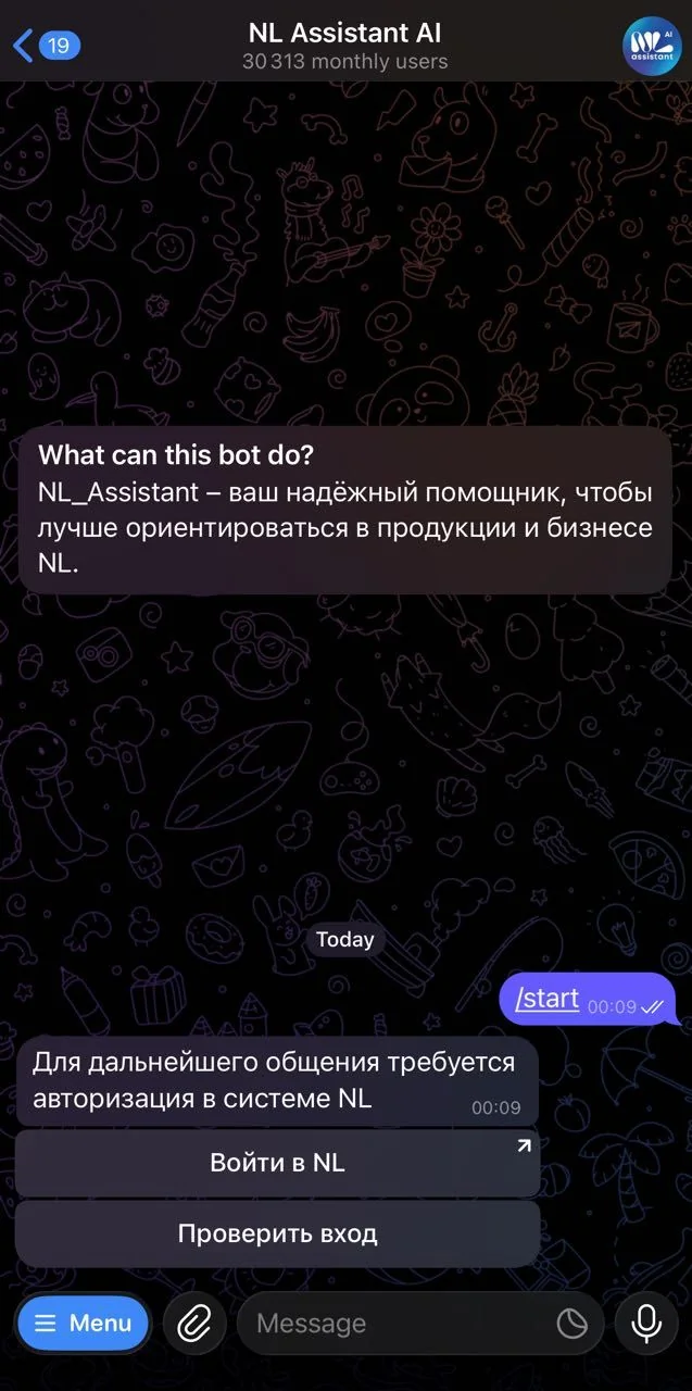 NL Assistant AI — Aperçu 1