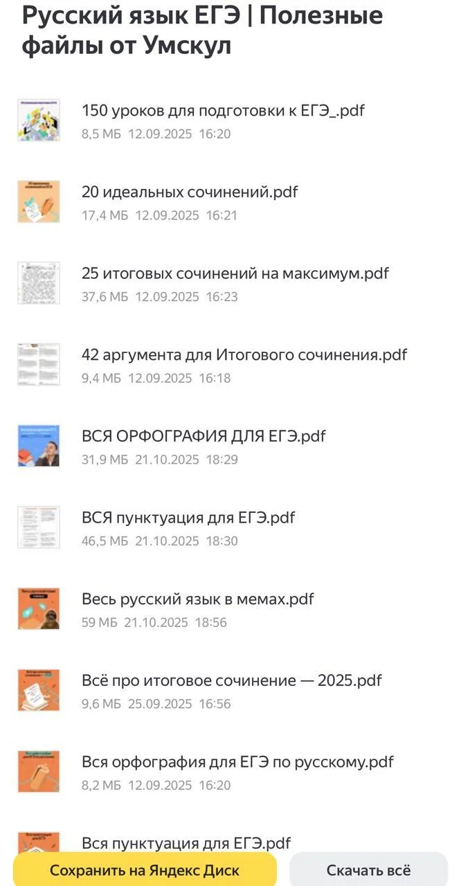 Russian language Unified State Exam, OGE, grade 10 | Umskul — पूर्वावलोकन 4