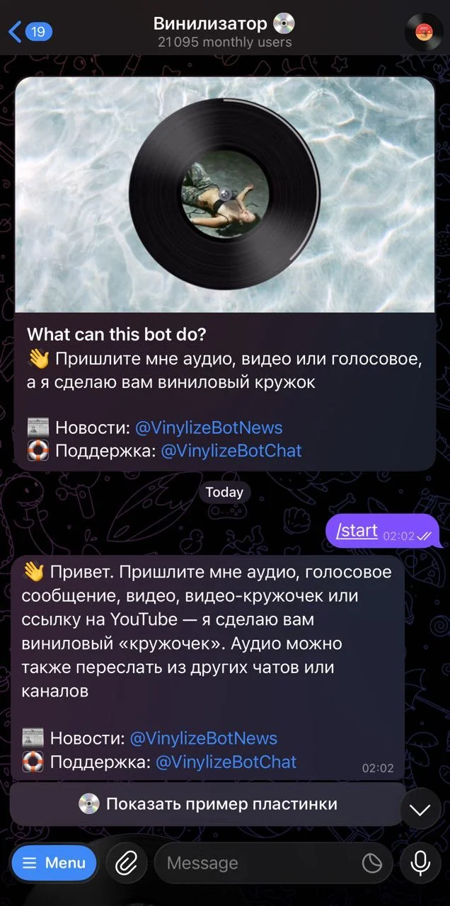Vinylizer 💿 — Превью 1