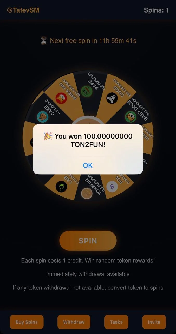 TON2FUN GAME 🎡 — Aperçu 3