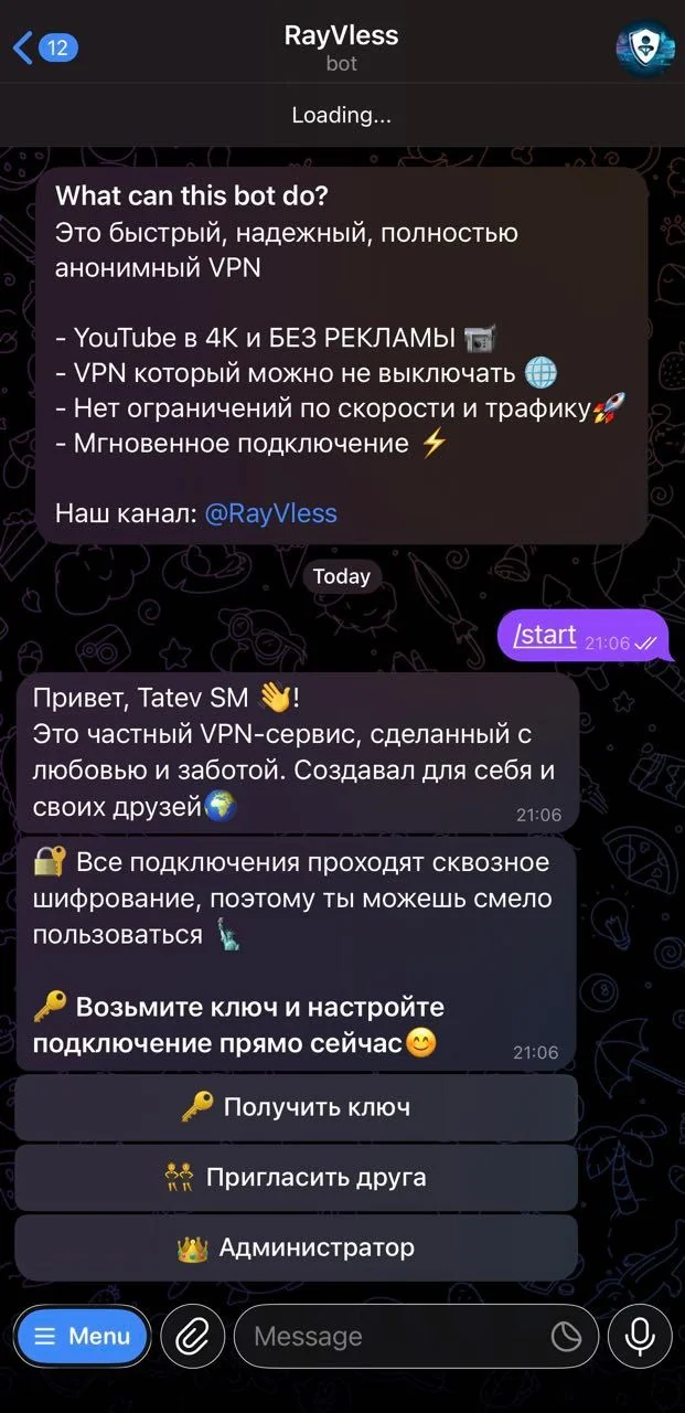 RayVless — Pratinjau 2