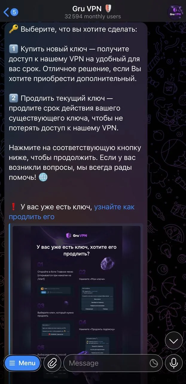 Gru VPN 🛡 — Pratinjau 4