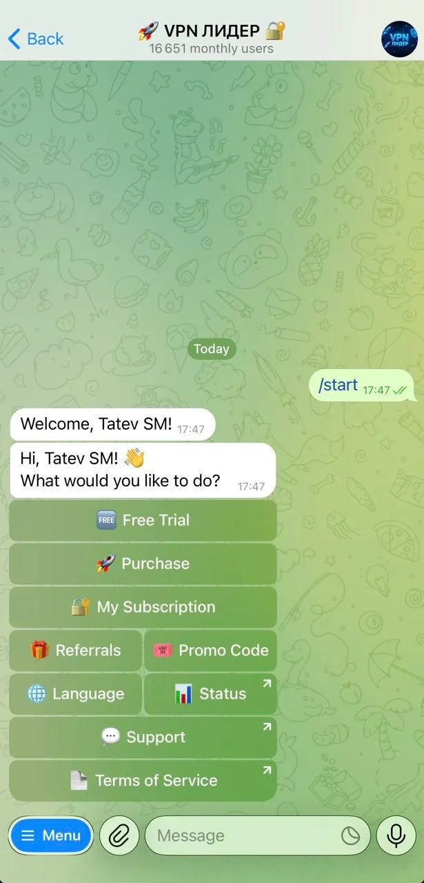 🚀 VPN LEADER 🔐 — Pratinjau 2