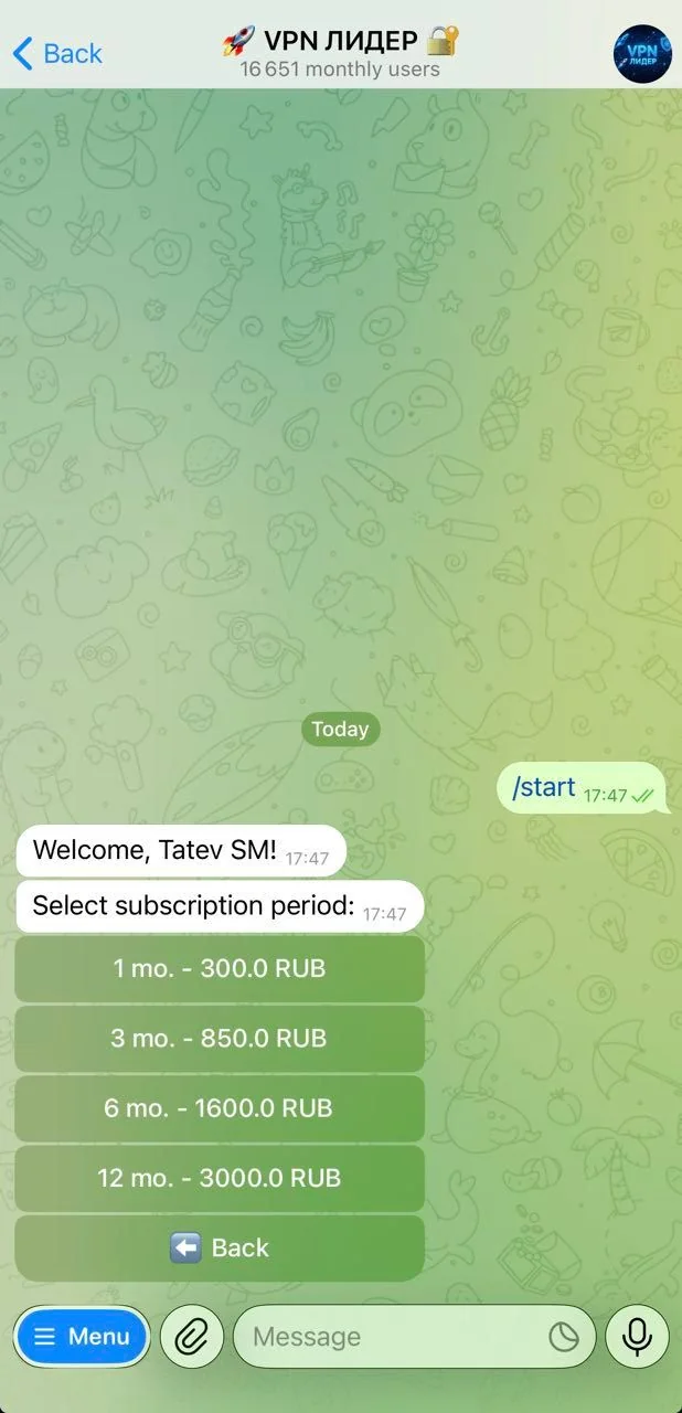 🚀 VPN LEADER 🔐 — Pratinjau 3