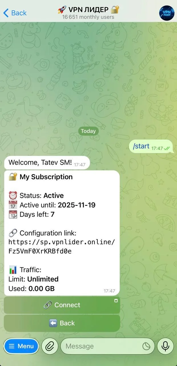 🚀 VPN LEADER 🔐 — Pratinjau 1