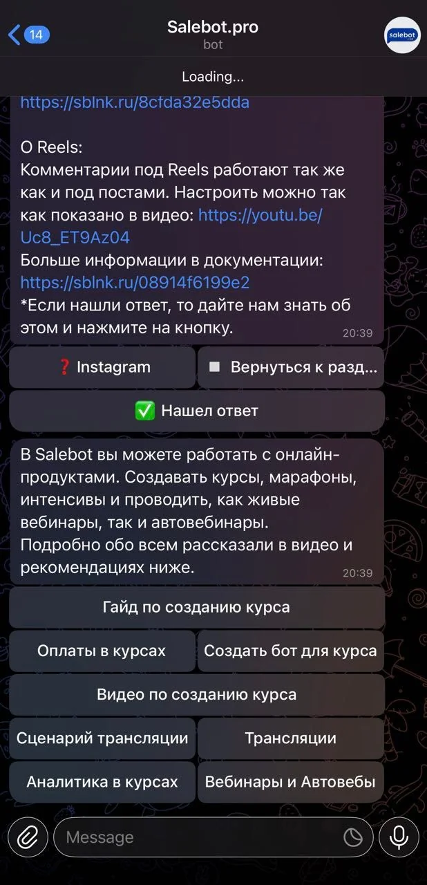 Salebot.pro — Preview 3