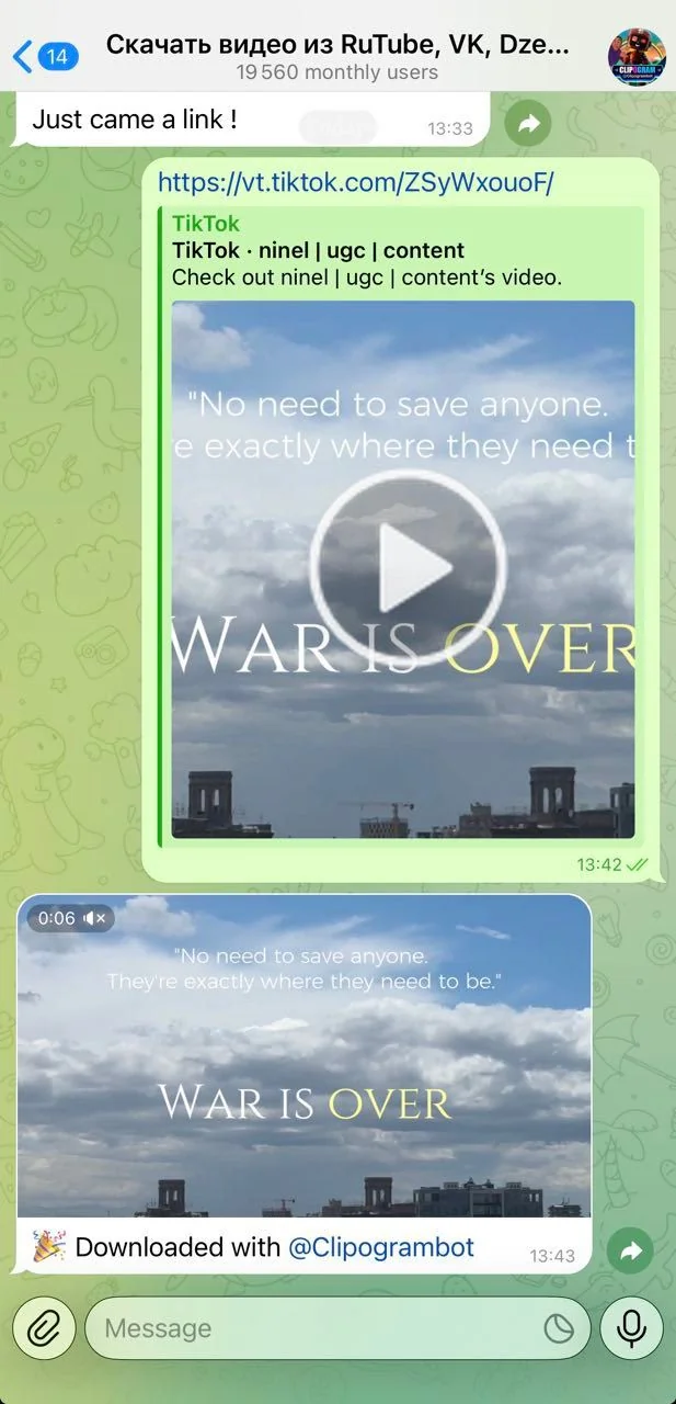 Download videos from RuTube, VK, Zen, YouTube, YT, TikTok — Превью 3