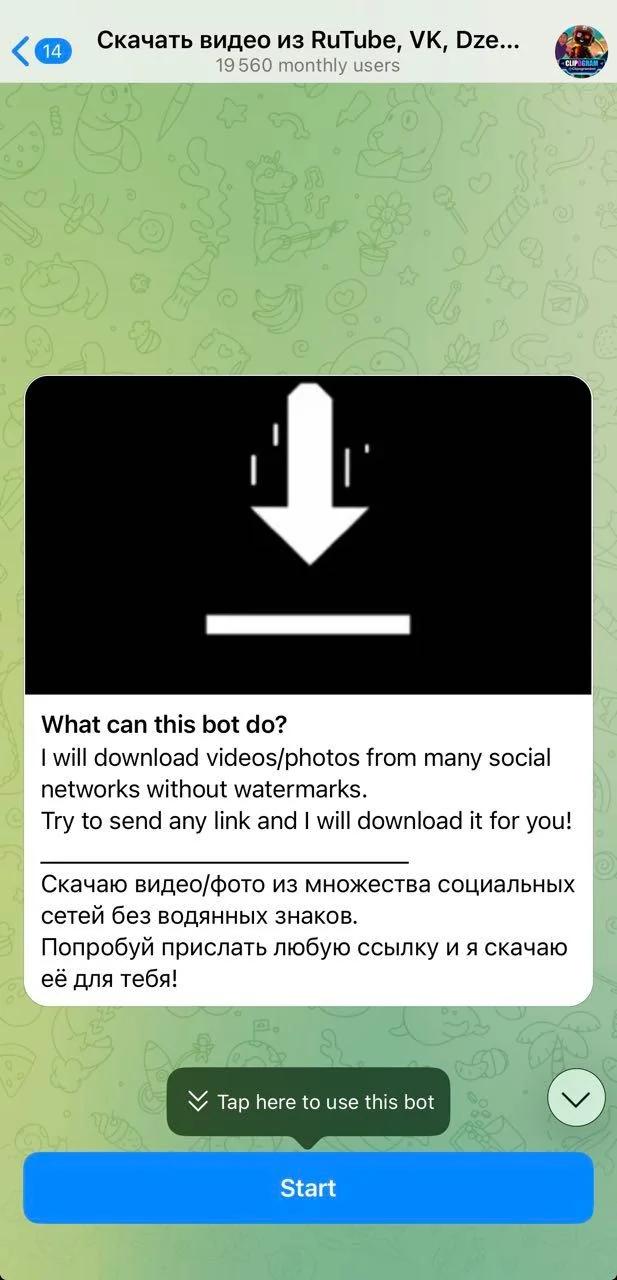 Download videos from RuTube, VK, Zen, YouTube, YT, TikTok — Превью 1