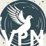 VPN→🌎