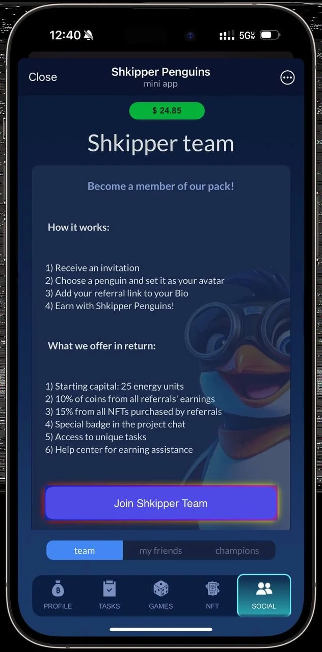 Shkipper Penguins — Preview 7