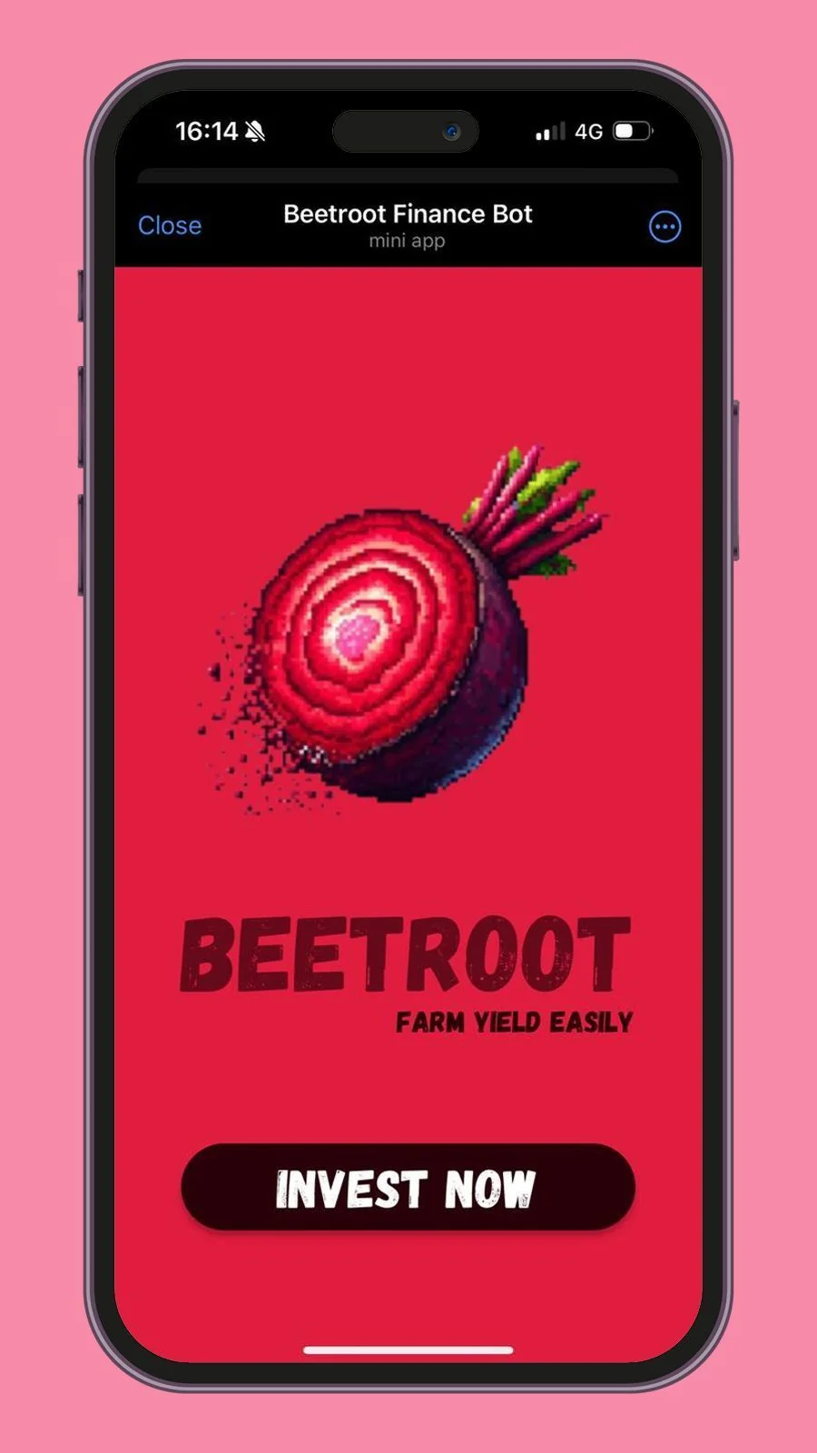 Beetroot Finance — Aperçu 1