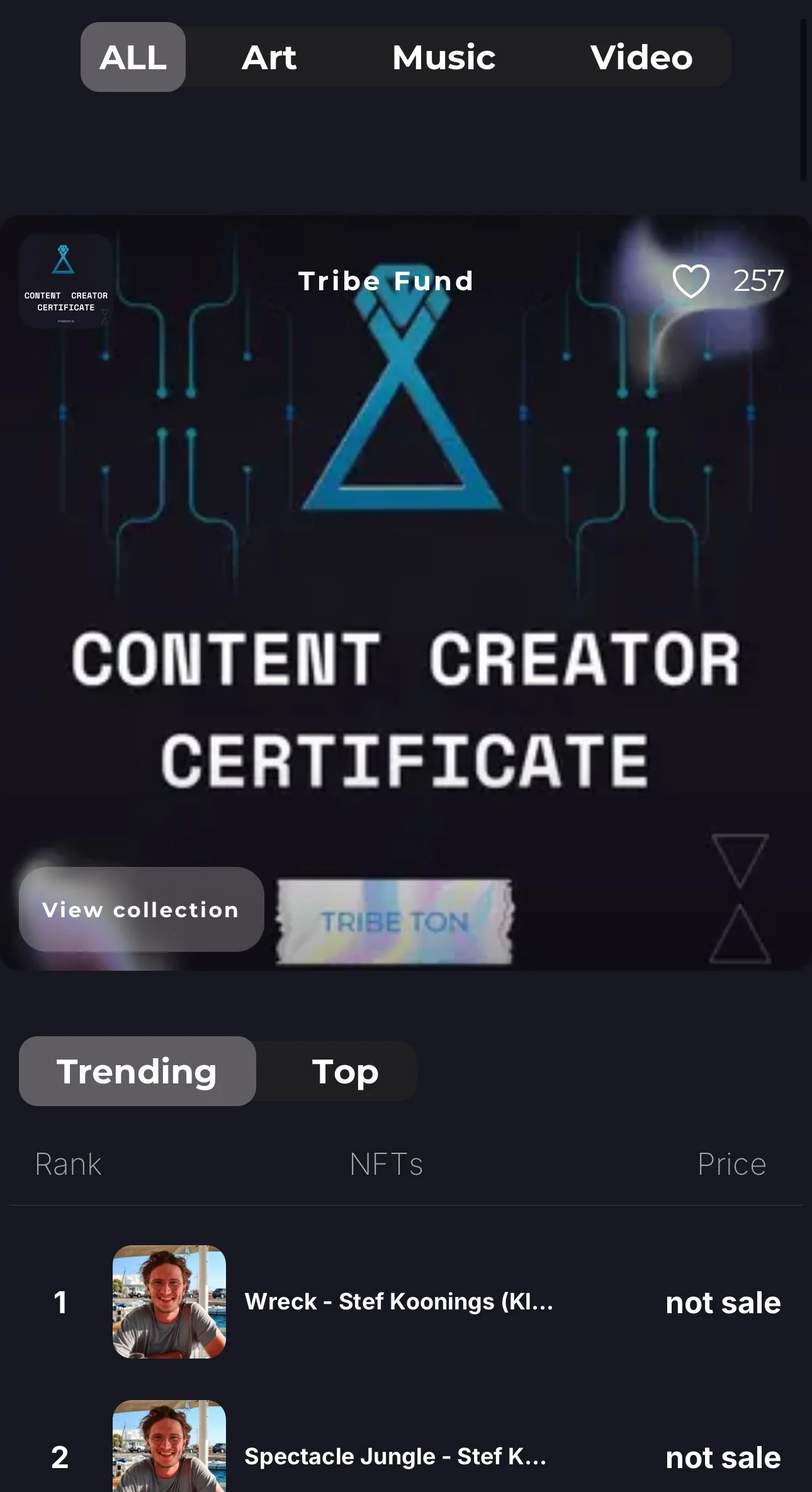 Tribe TON bot(mini app) — Превью 1