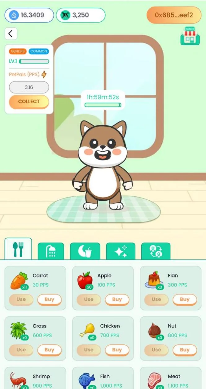PetPals 🐶 — Aperçu 2