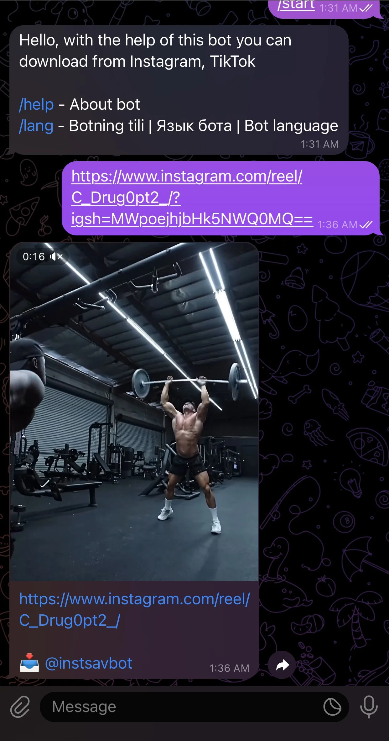 Download video from Instagram — Preview 2