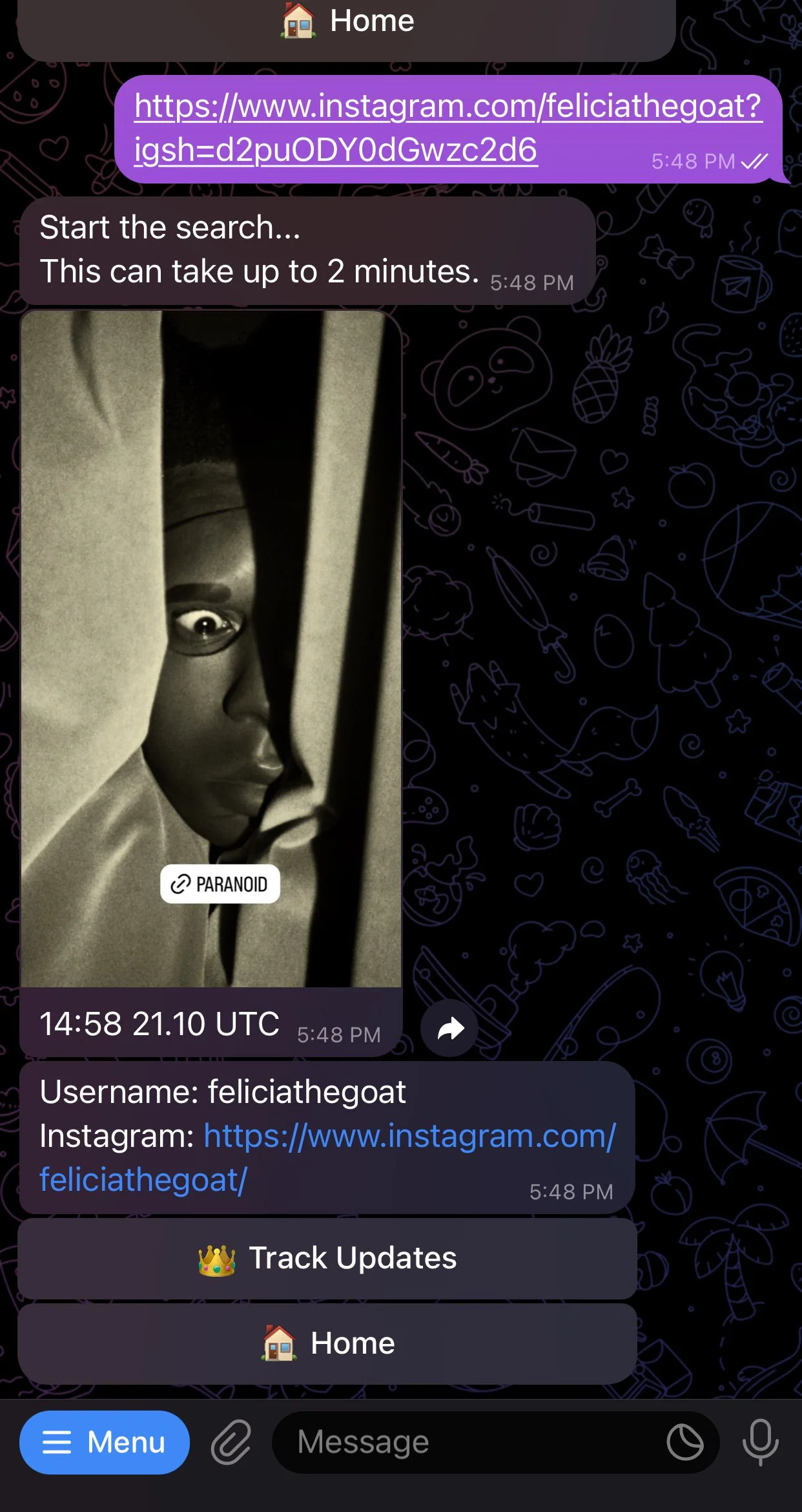 Insta Story Tracker Bot — Перегляд 2