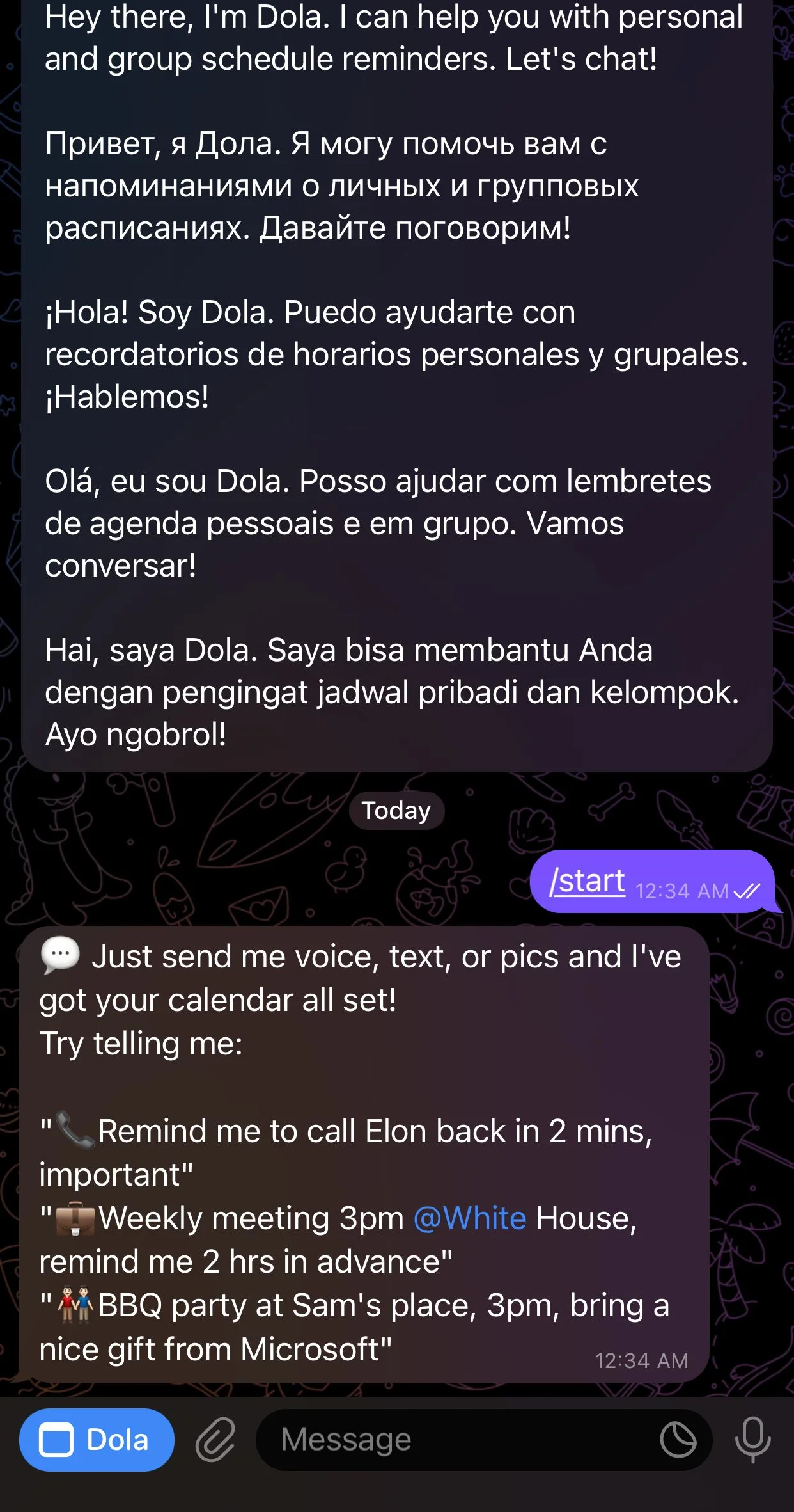 Dola AI — Preview 1