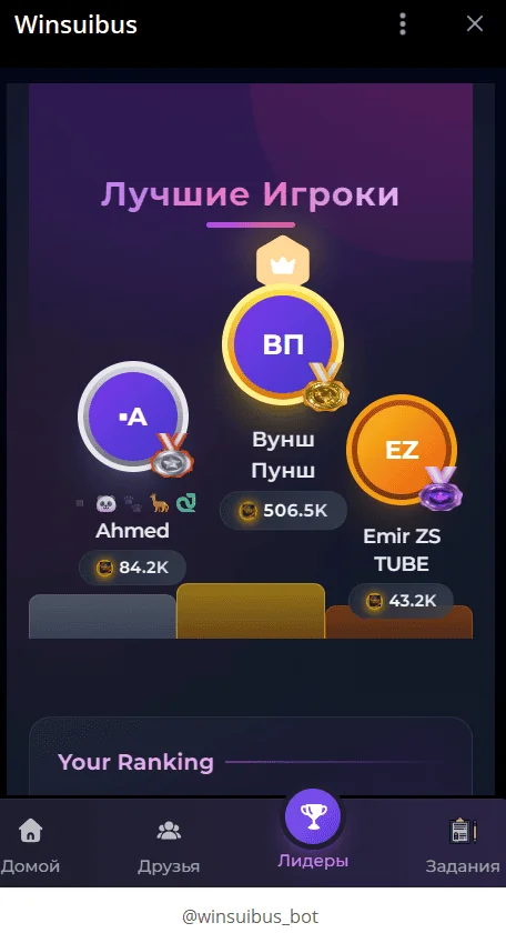 Winsuibus — Preview 2