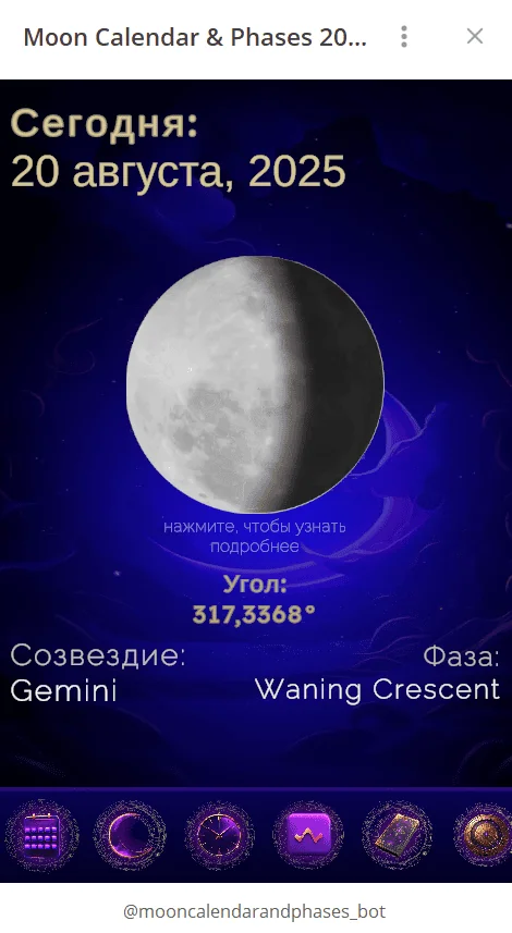Moon Calendar & Phases 2025 — Preview 1