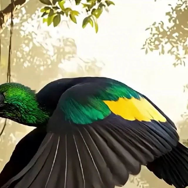 Ayan282929