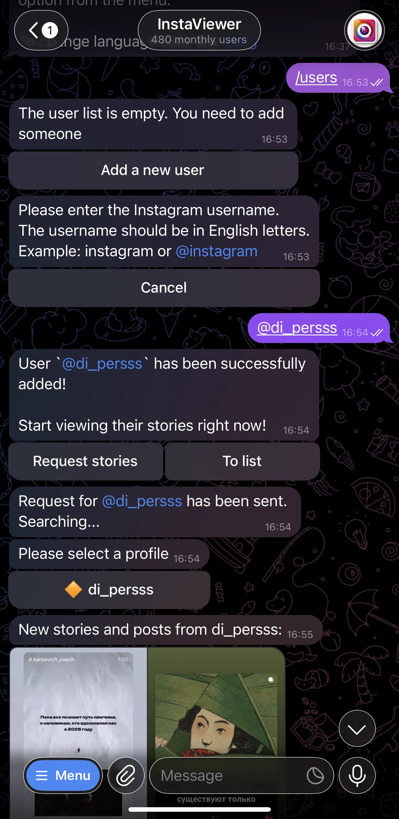 InstaViewer — Preview 2