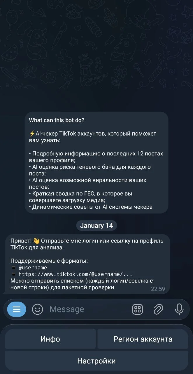 TikTok Accounts Checker — Preview 1