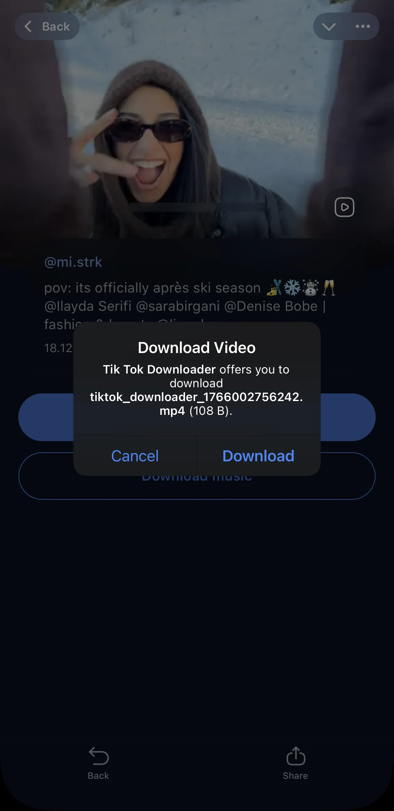 TikTok Downloader — Preview 4