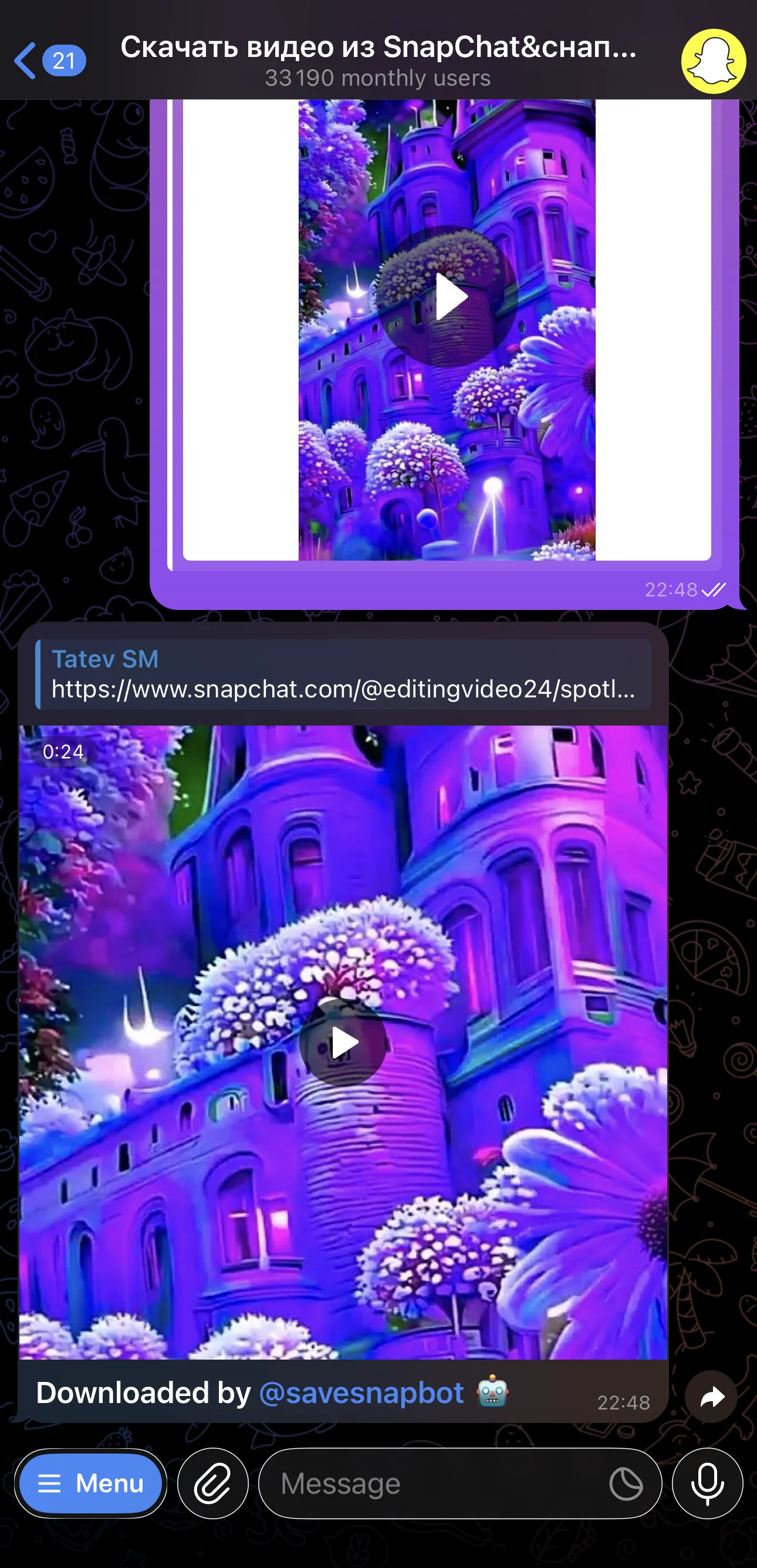Скачать видео из SnapChat&снапчата VK — Превью 3