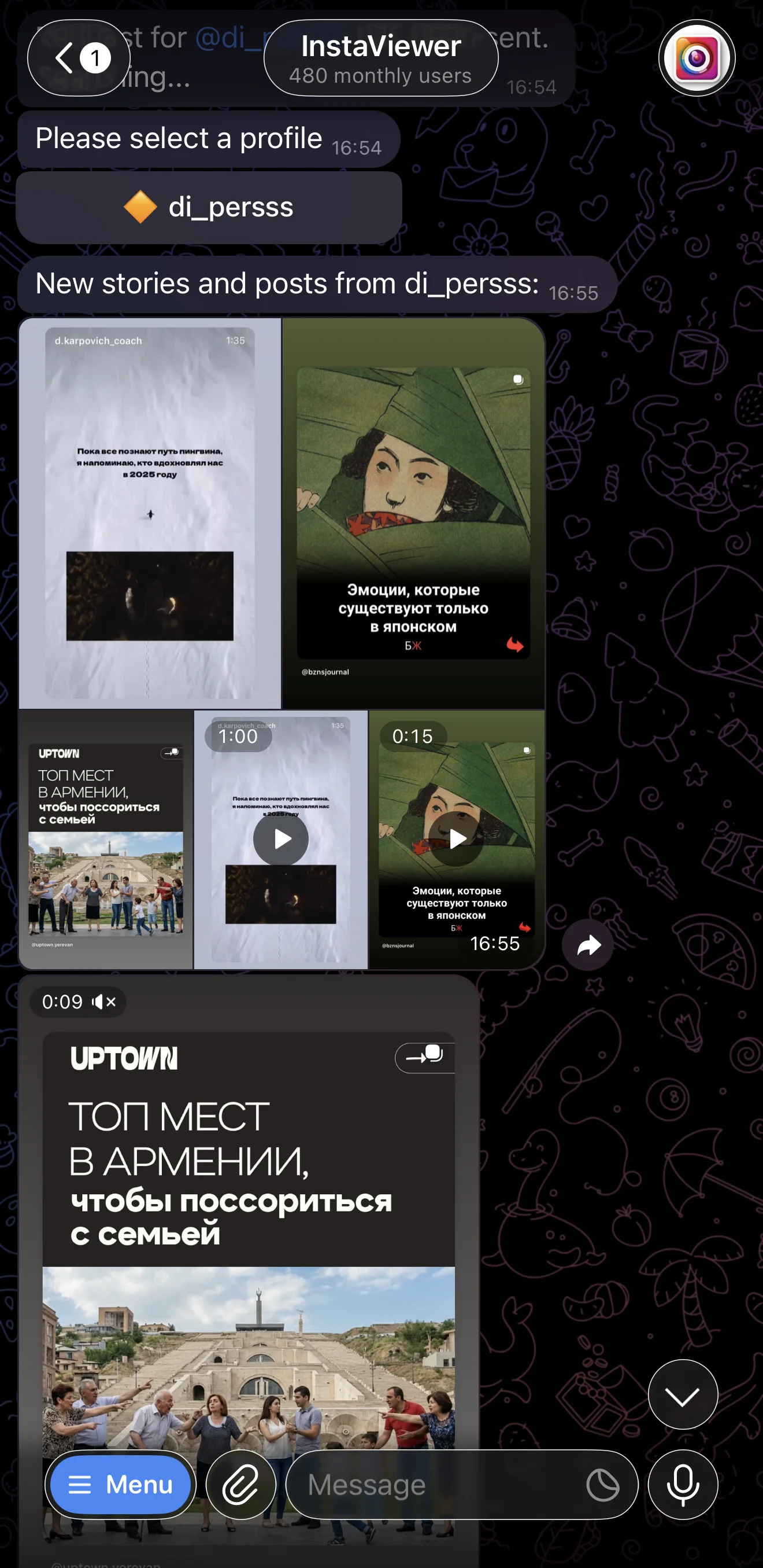 InstaViewer — Preview 3