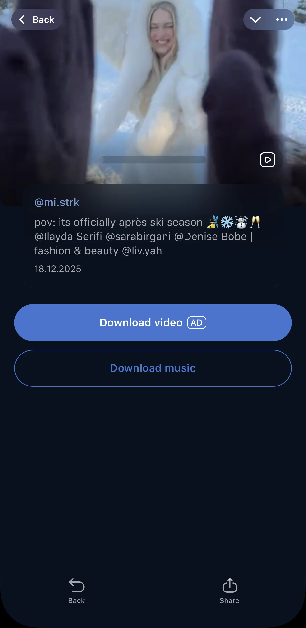 TikTok Downloader — Preview 3