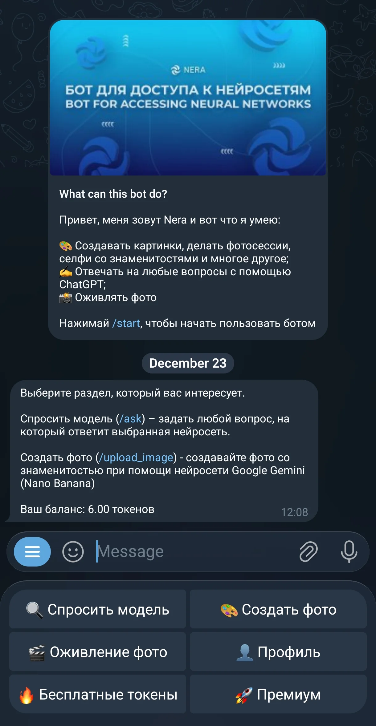 NeraBot | ChatGPT — Aperçu 3