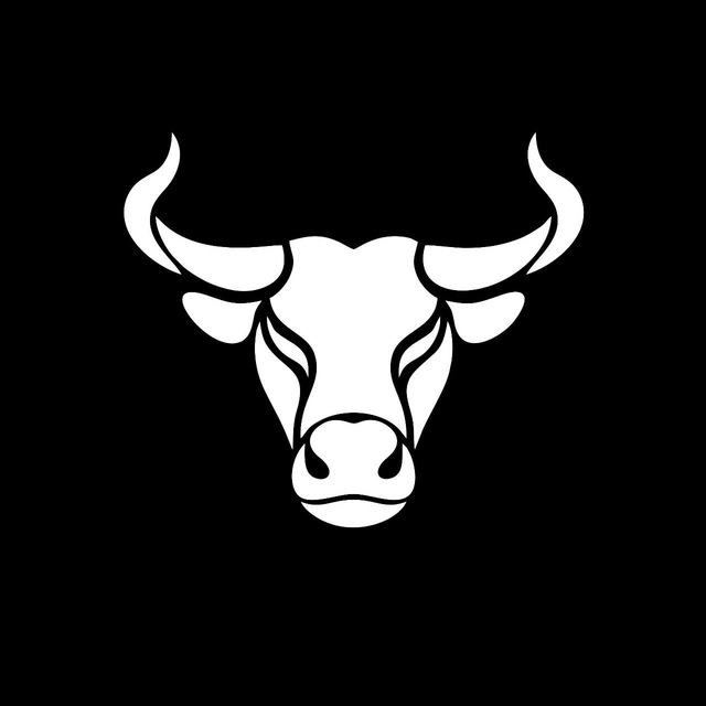 TheBull_bot icon