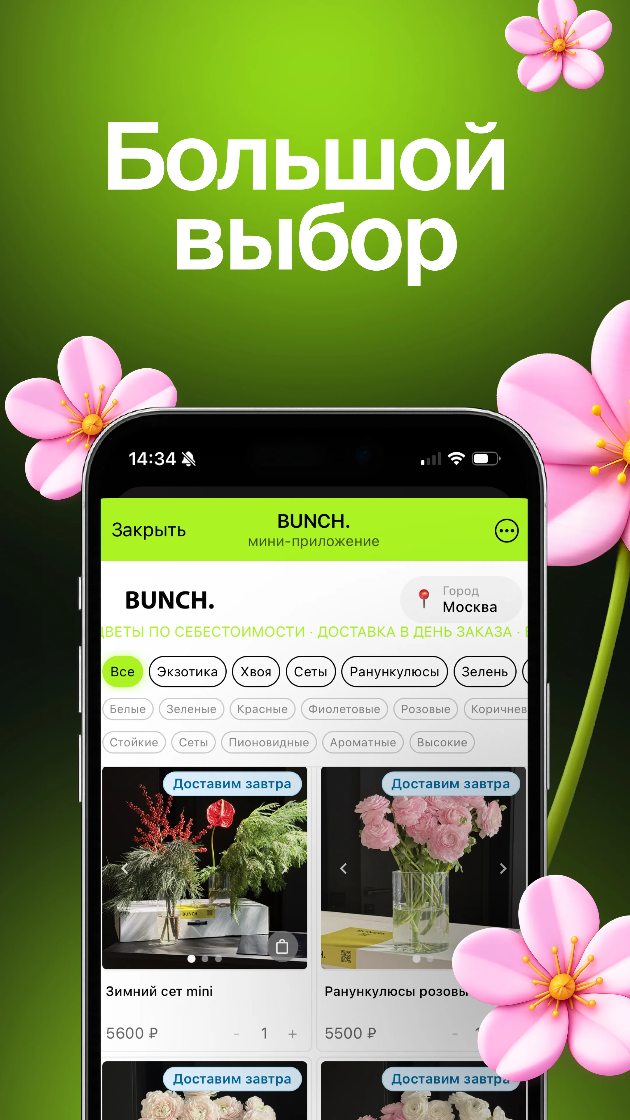 BUNCH. — Preview 1