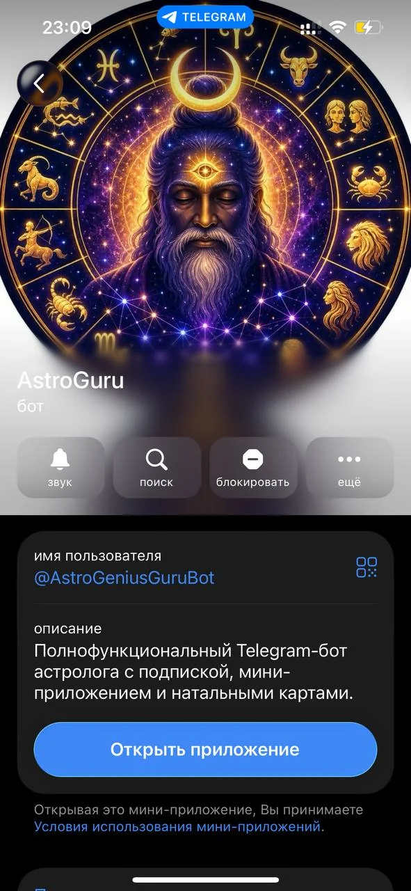 AstroGuru — पूर्वावलोकन 1