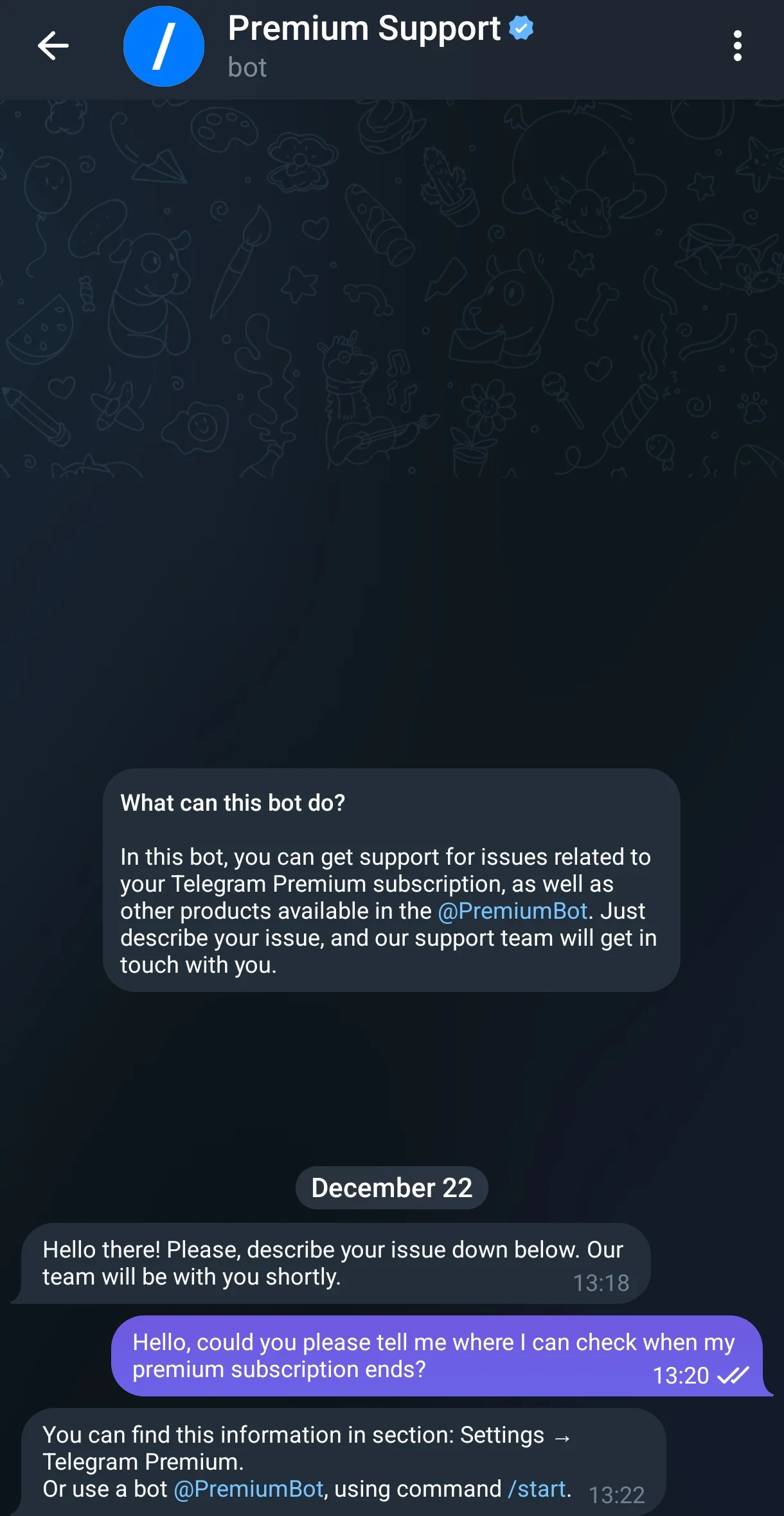 Premium Support — Превью 1