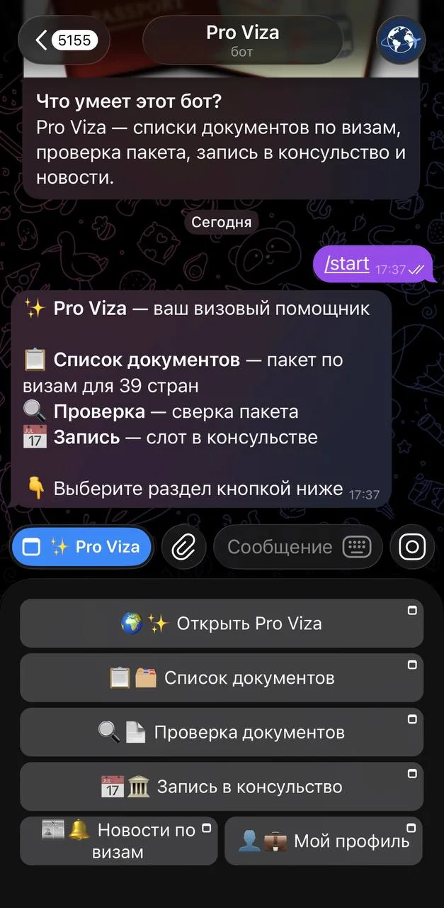 Pro Viza — Aperçu 1