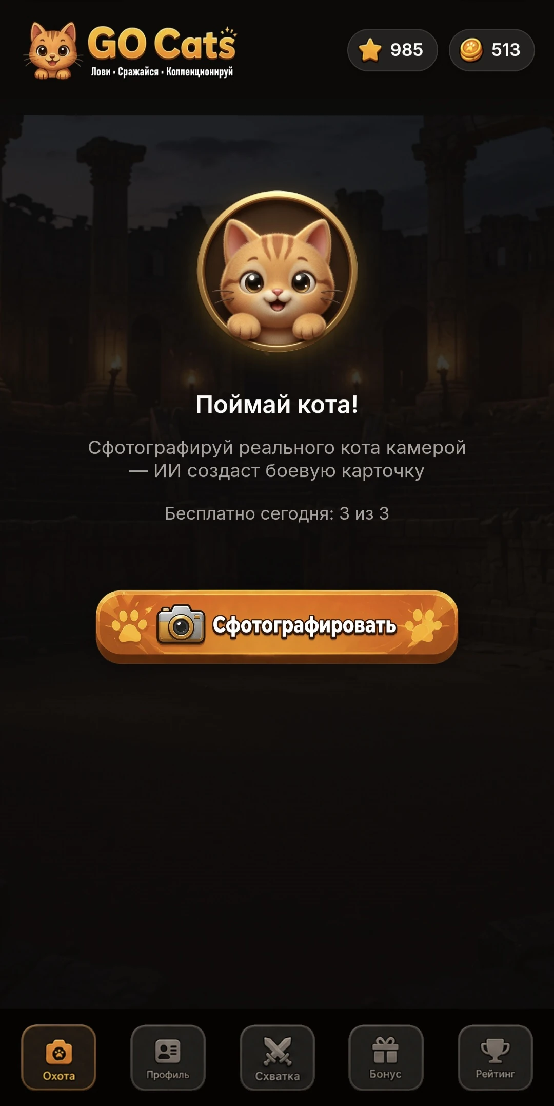 GO Cats — Превью 1