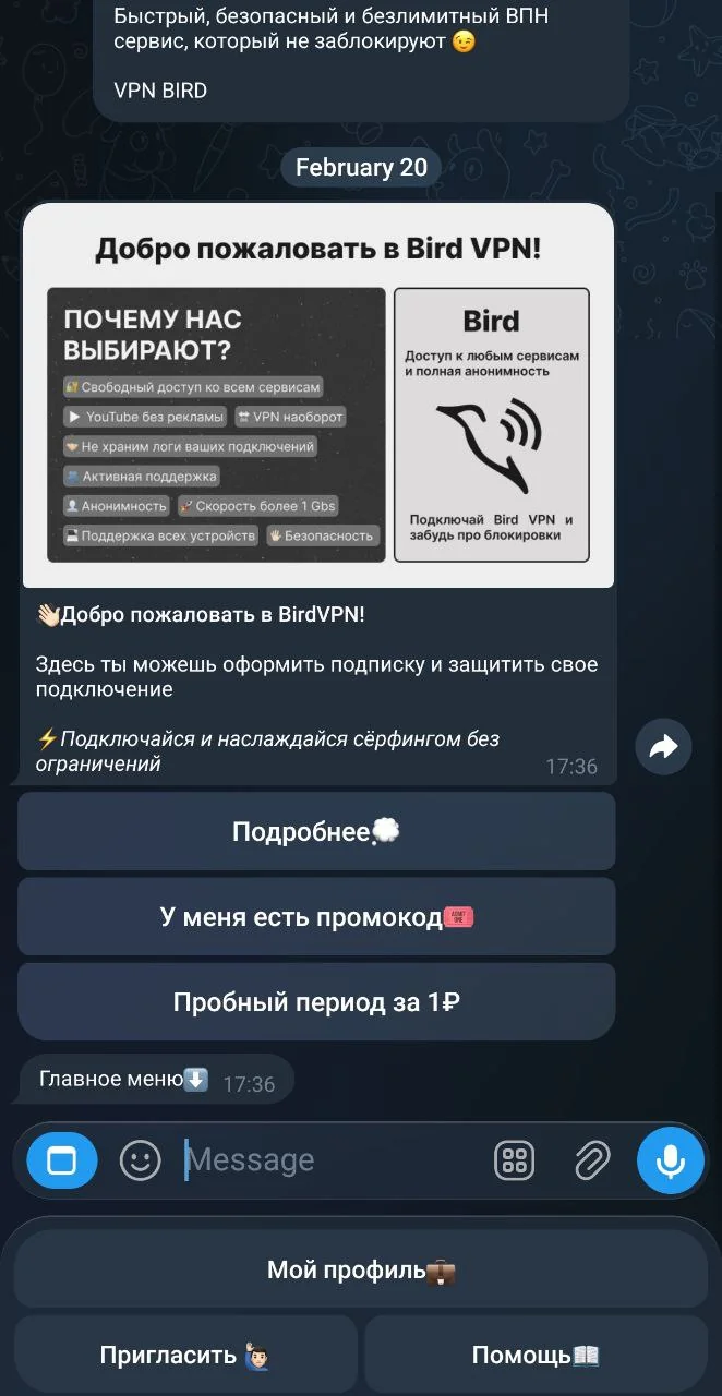 BIRD VPN — Preview 3