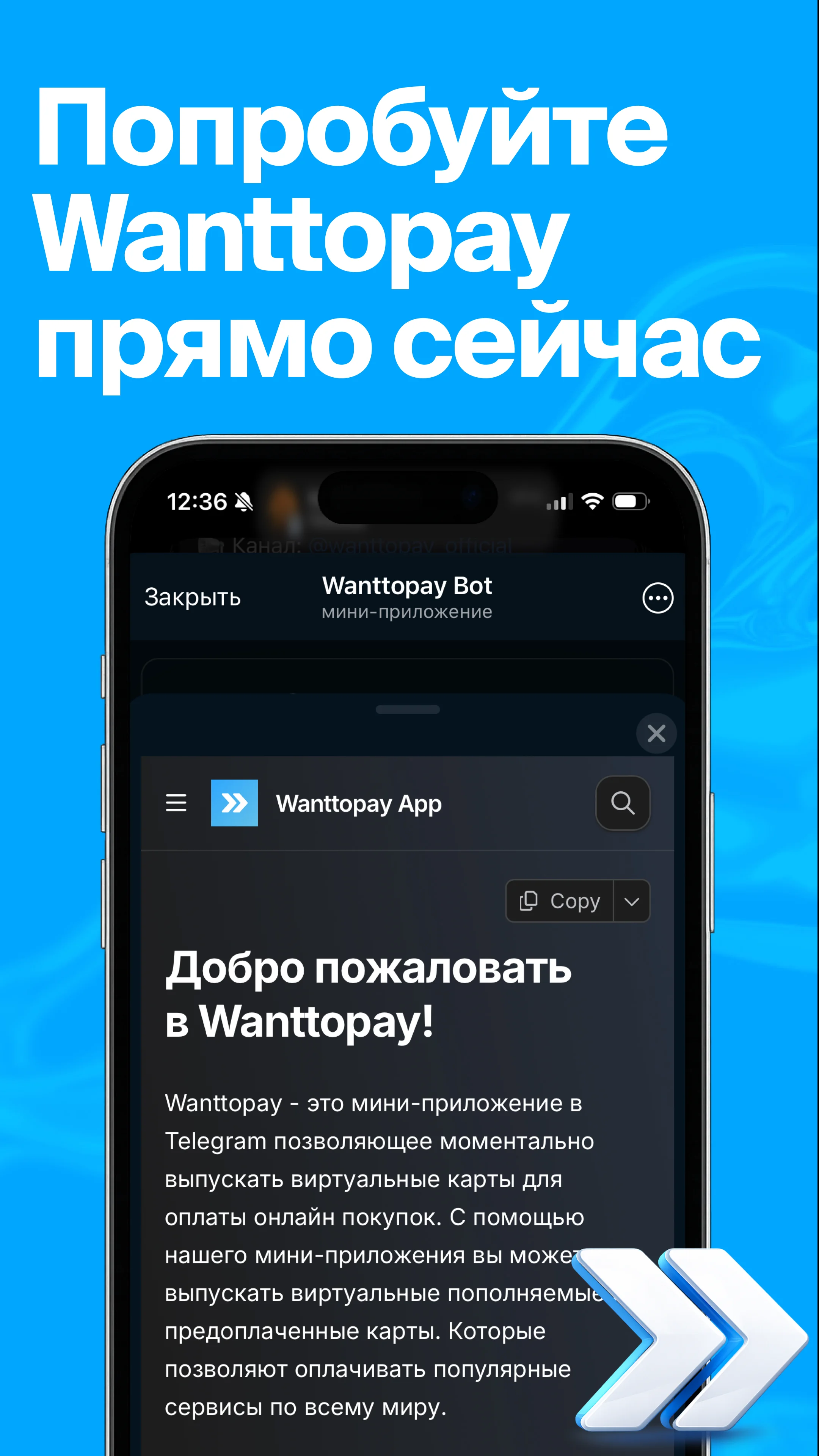 Wanttopay — Preview 4