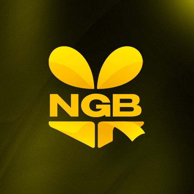 NGB App icon