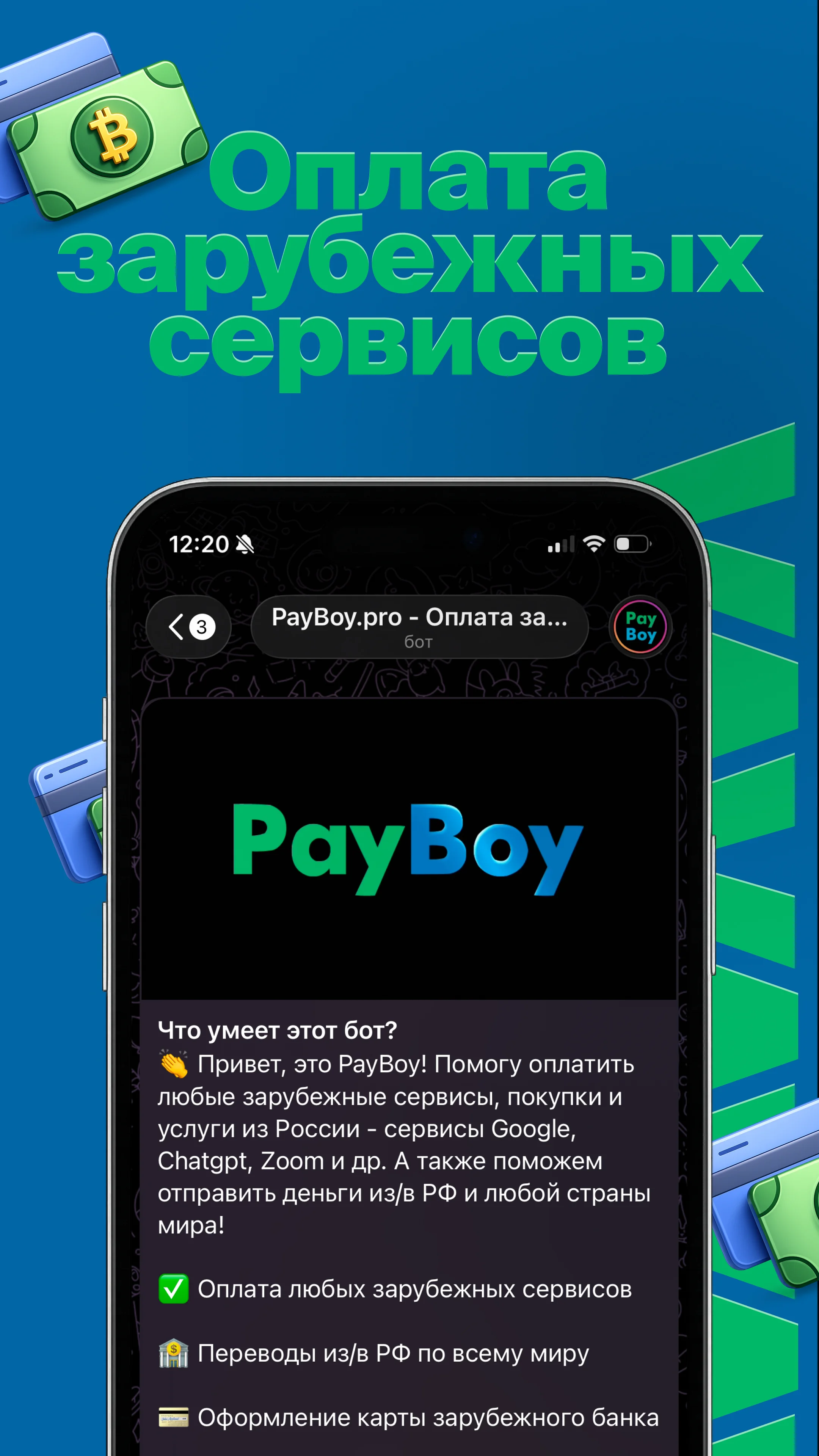 PayBoy.pro — Preview 1