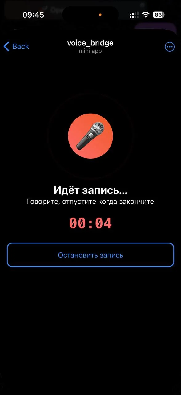 Voice bridge — Pratinjau 2