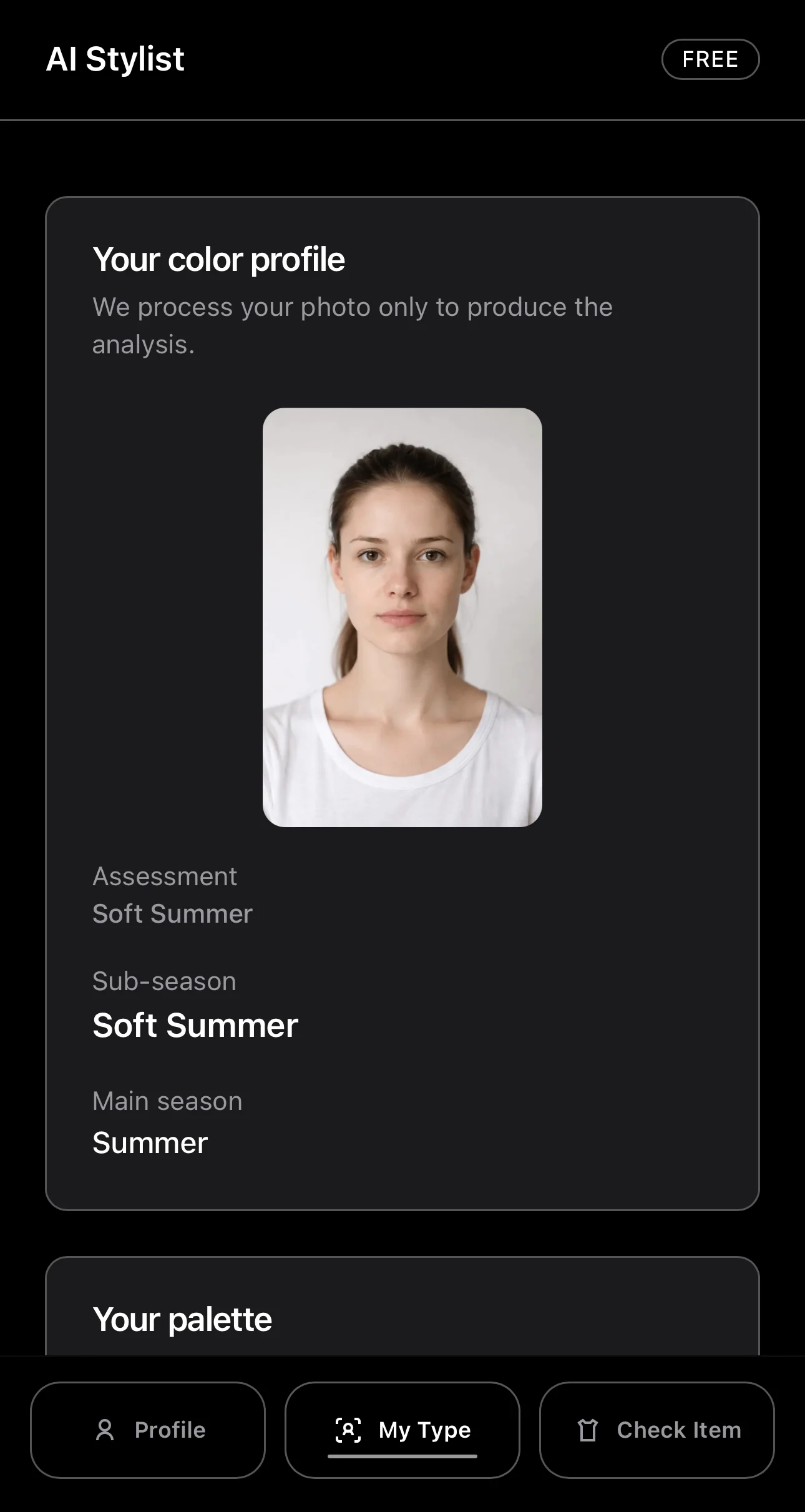 AI Stylist — Preview 1