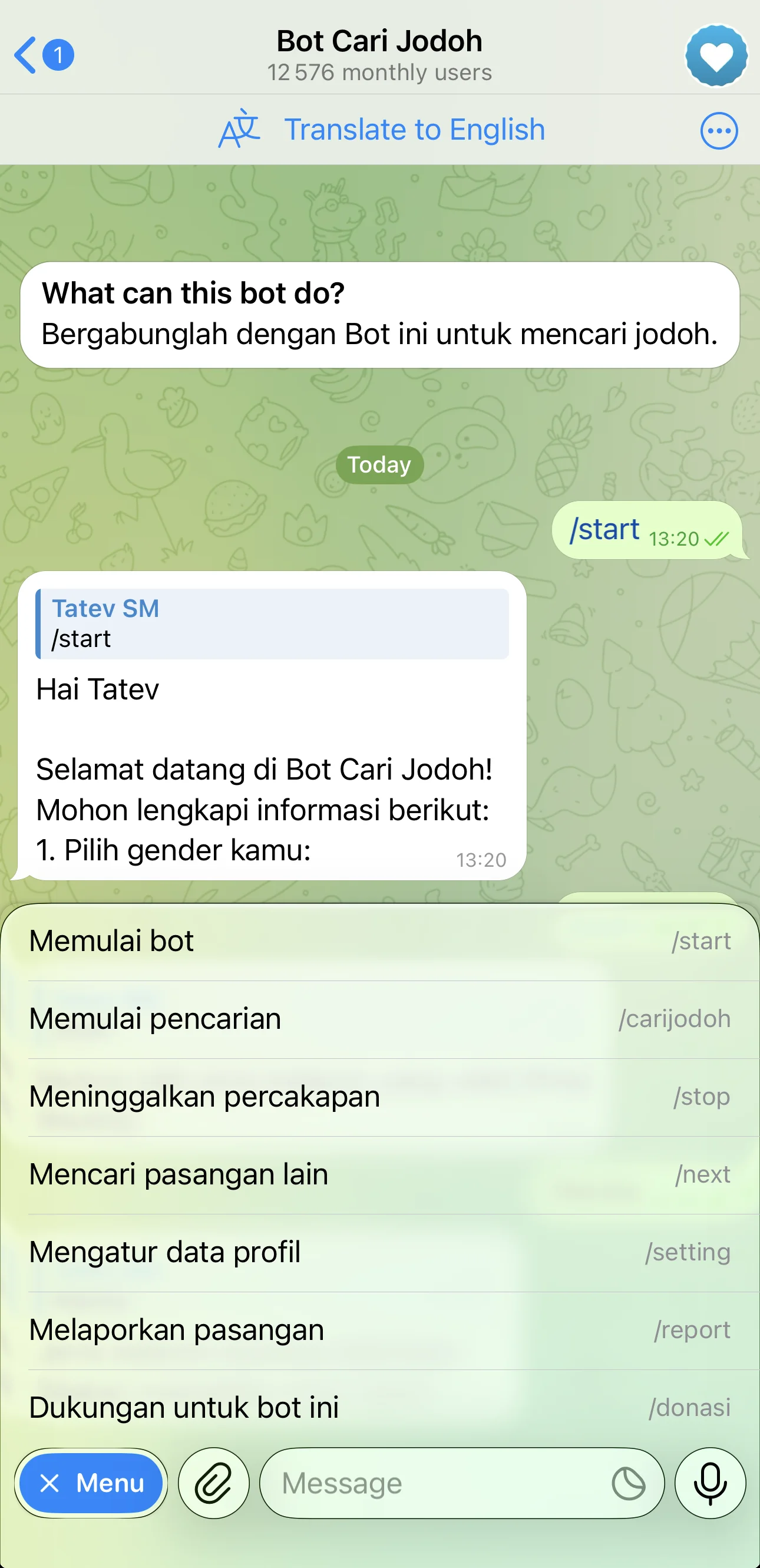 Bot Cari Jodoh โ Preview 2