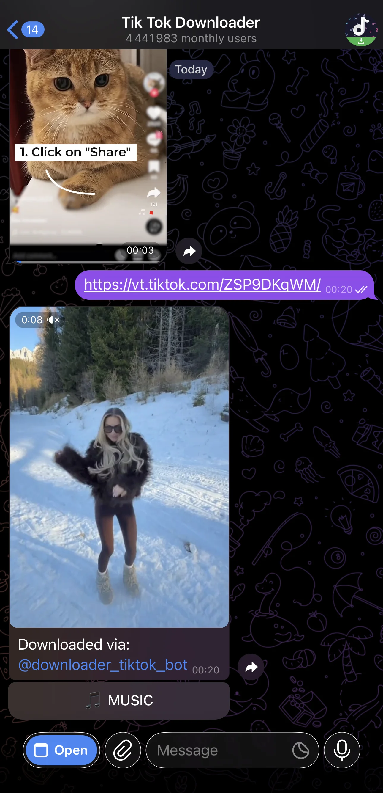 TikTok Downloader — Preview 1